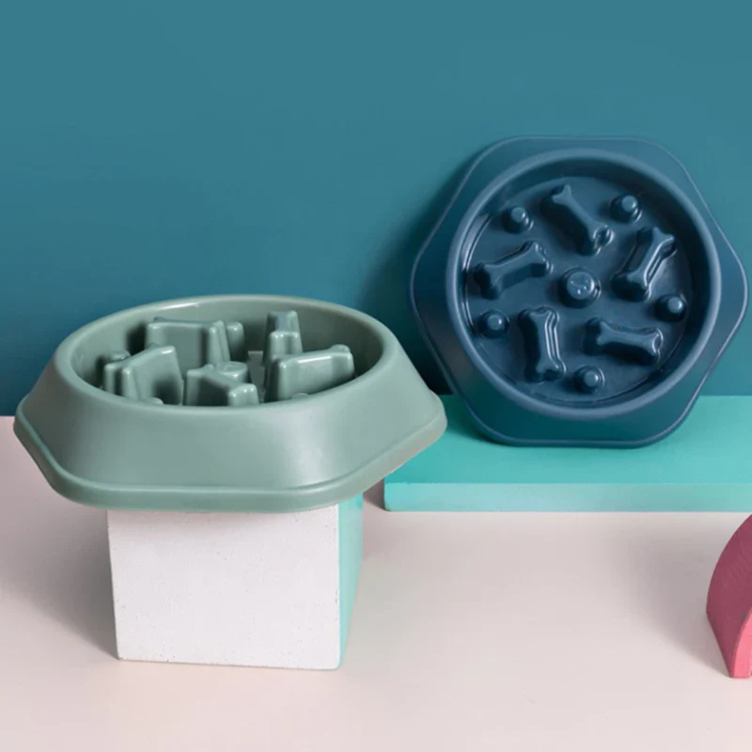 DOG BOWLS