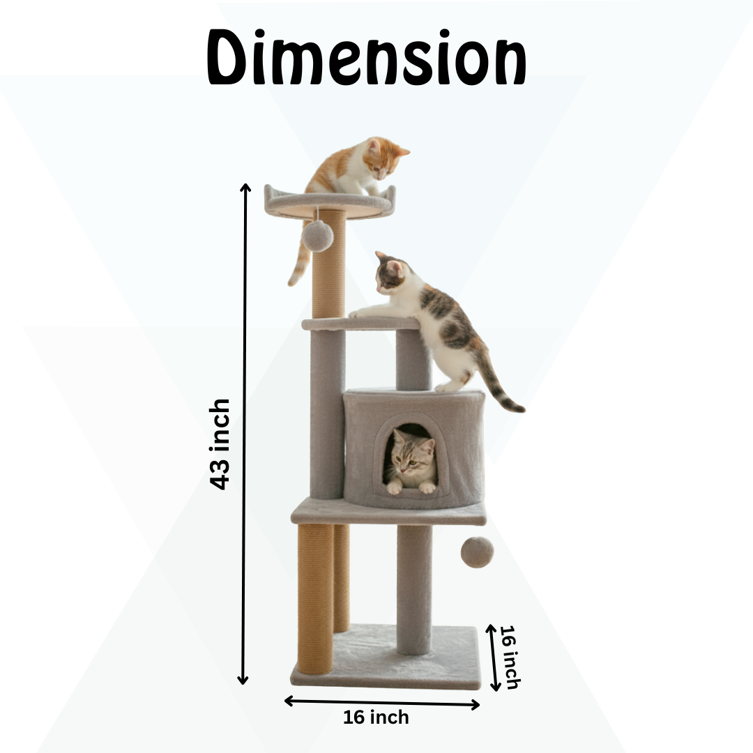 17698574056631.png
