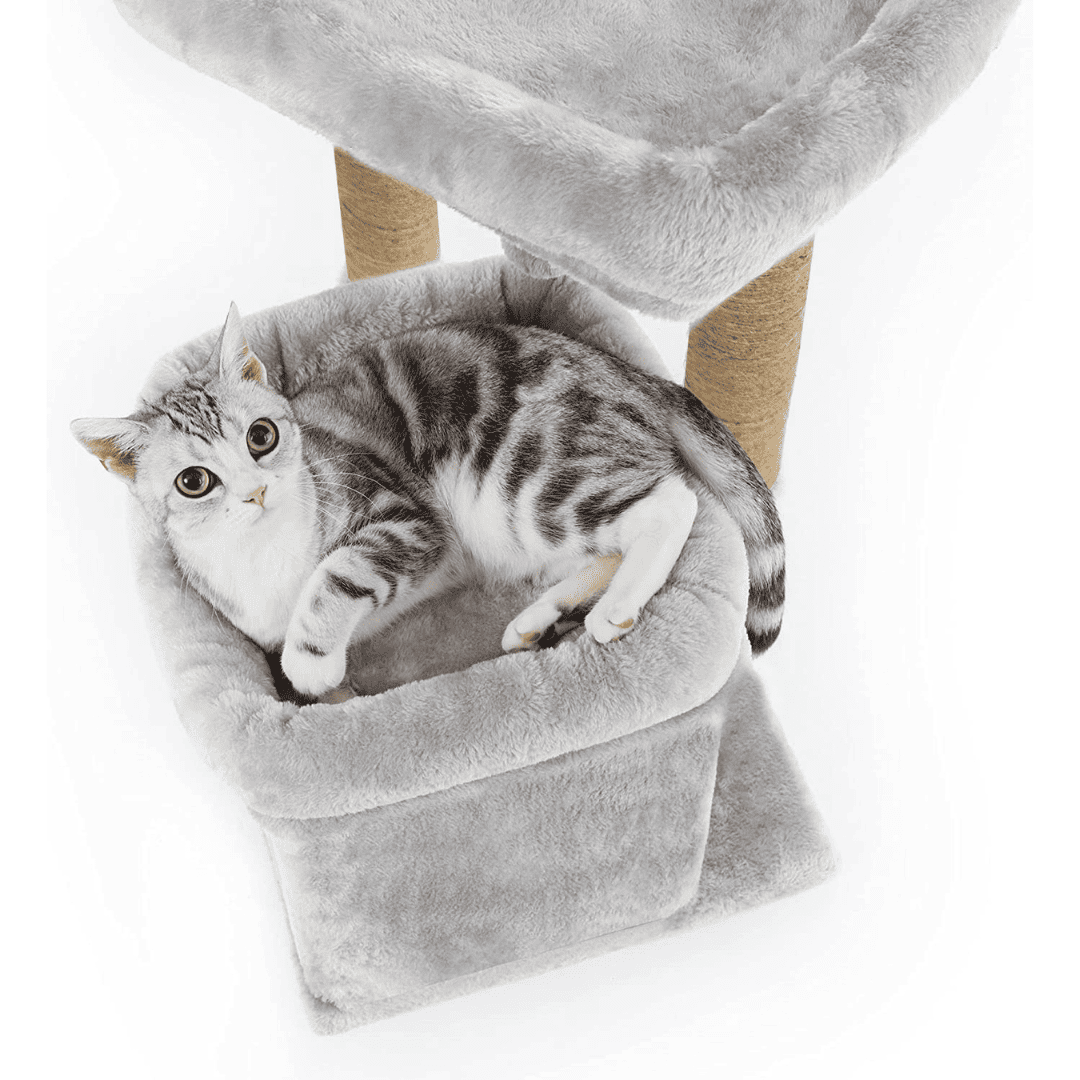17714109404772.png
