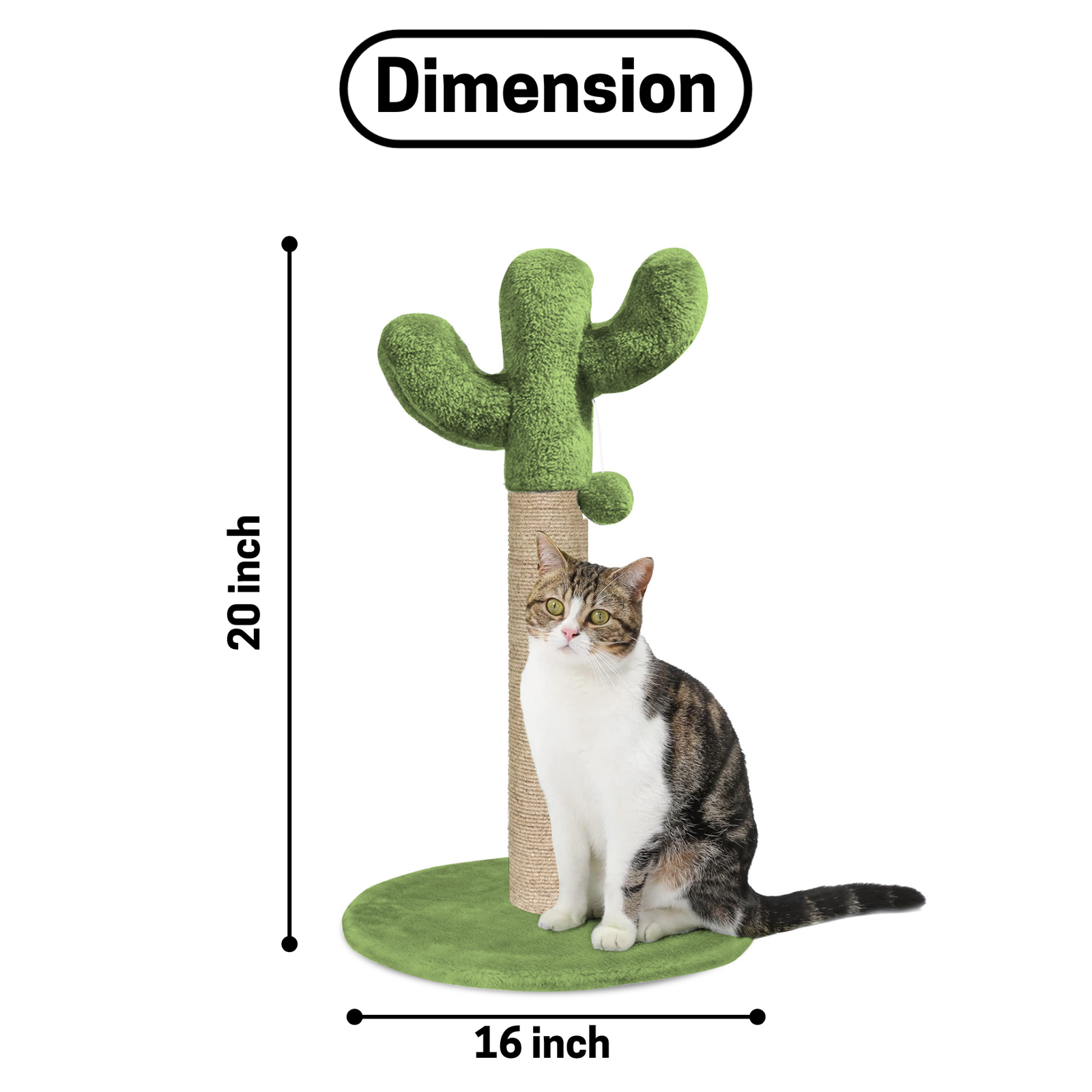 17803098336768.png