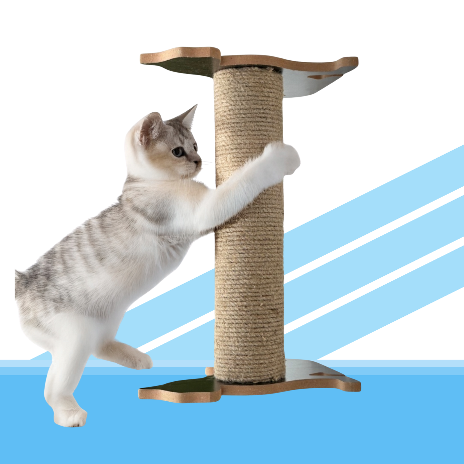 17882501342307.png
