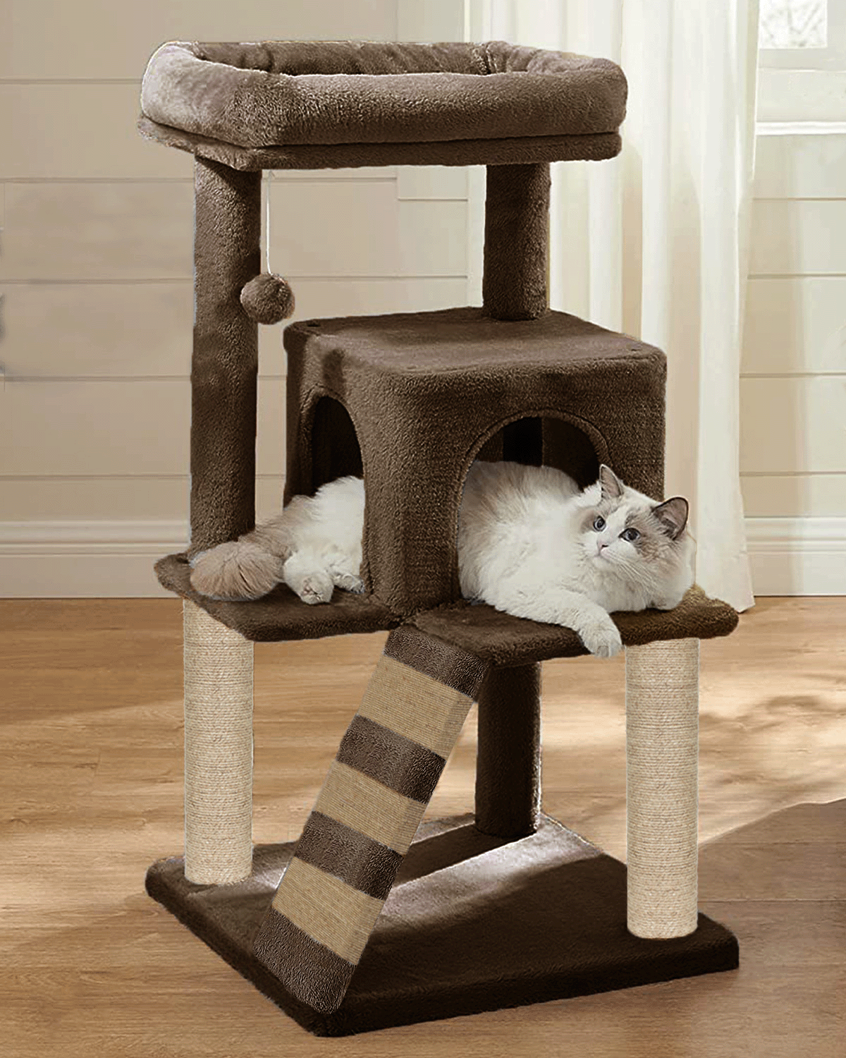 img_6a1161ff4c92f5.80252249.png