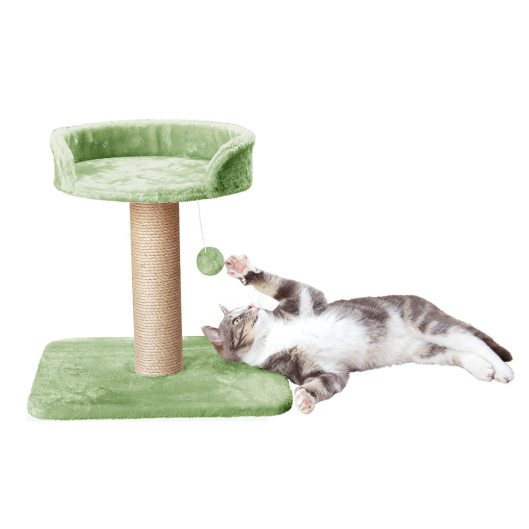 img_6a1913cacad8e3.96834308.png