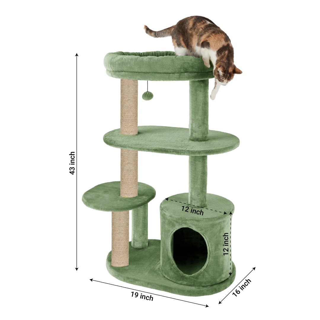 img_6a268ea29c5a05.36174349.png
