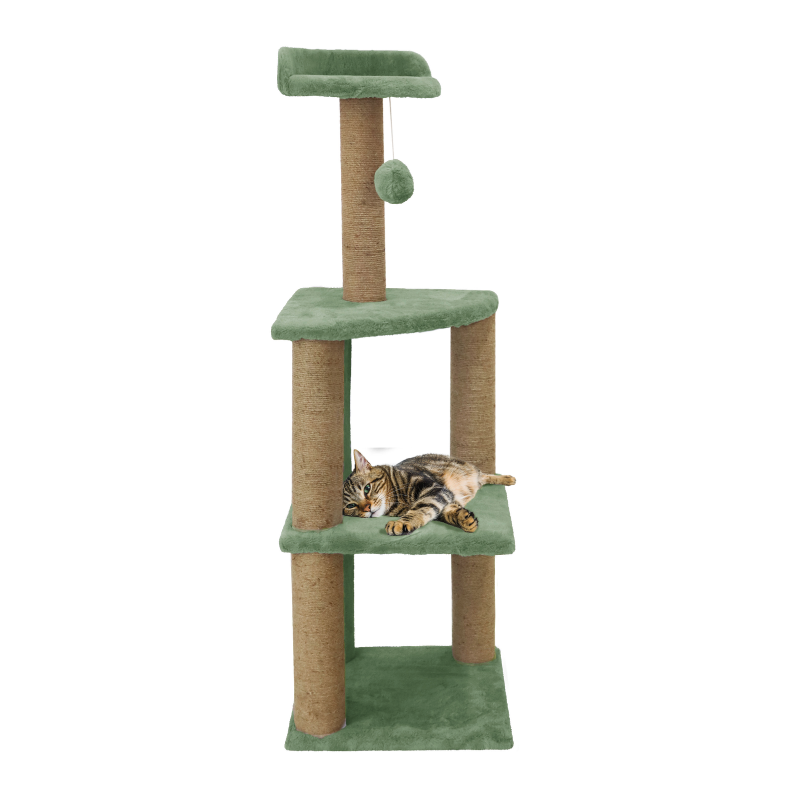 img_6a3f7c5e0cdd18.77365646.png