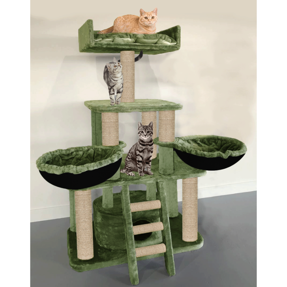 img_6a43abbfb41f00.11750128.png