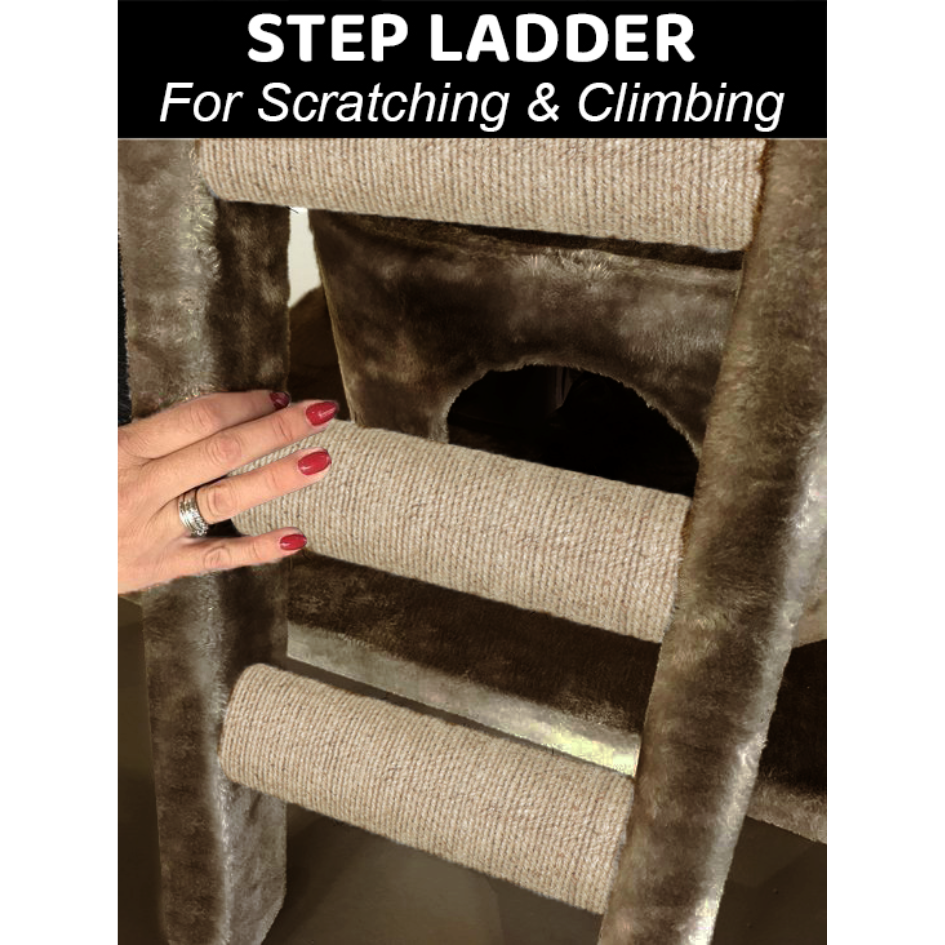 img_6a43b056f2be84.10903219.png