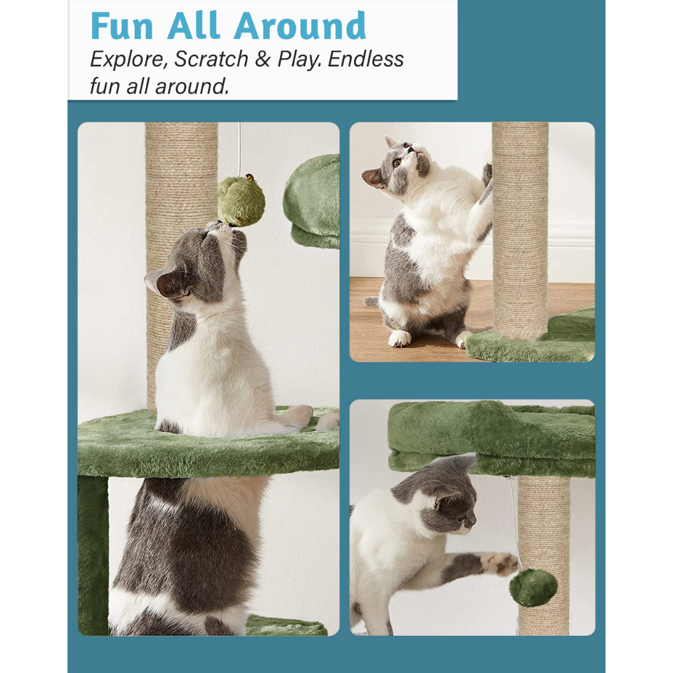 img_6a43b2eb7b9298.97057400.png