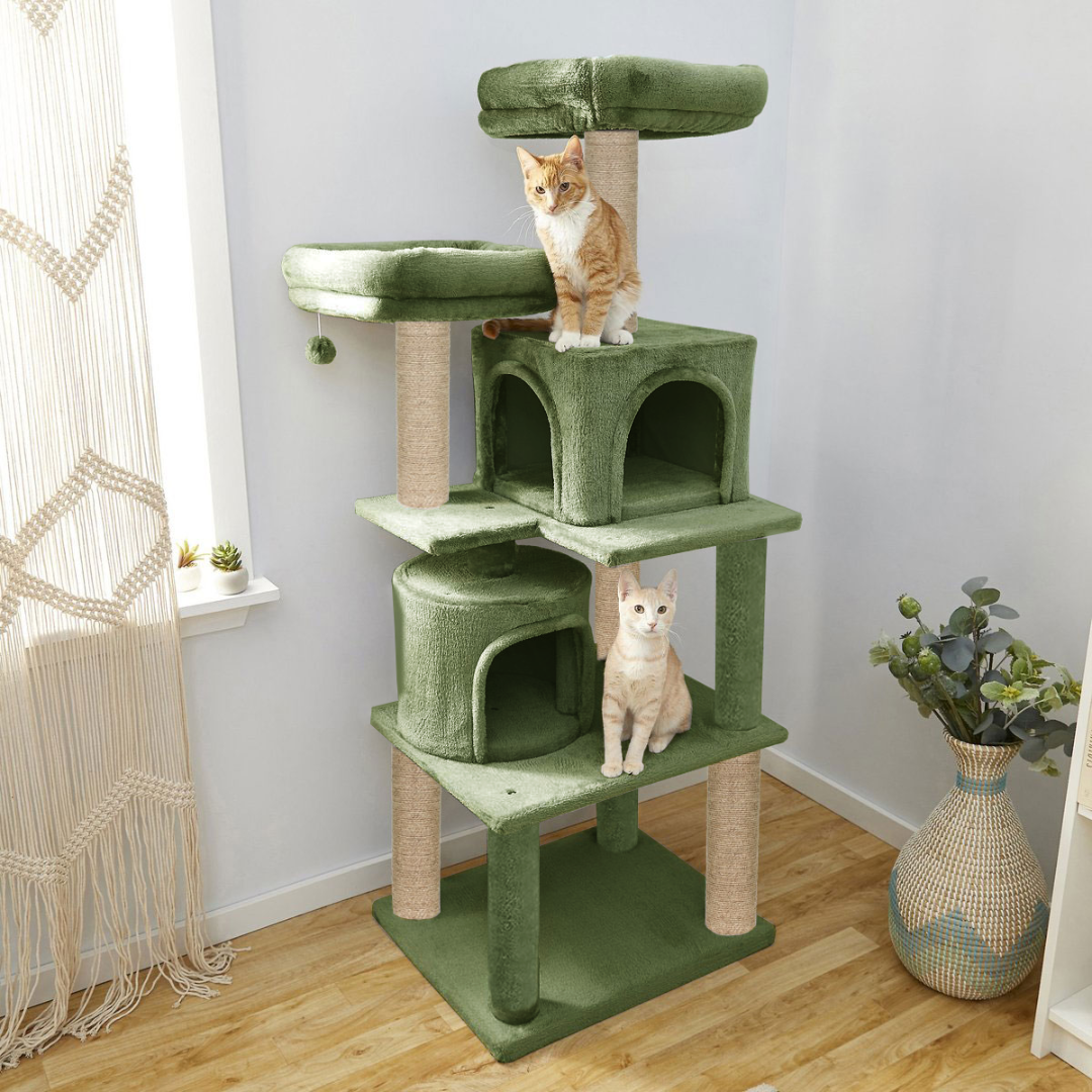 img_6a4dfa9ed96855.73941104.png