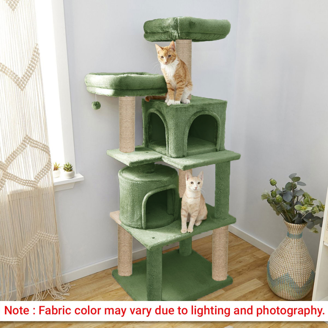 img_6a4dfa9eda7666.47842655.png