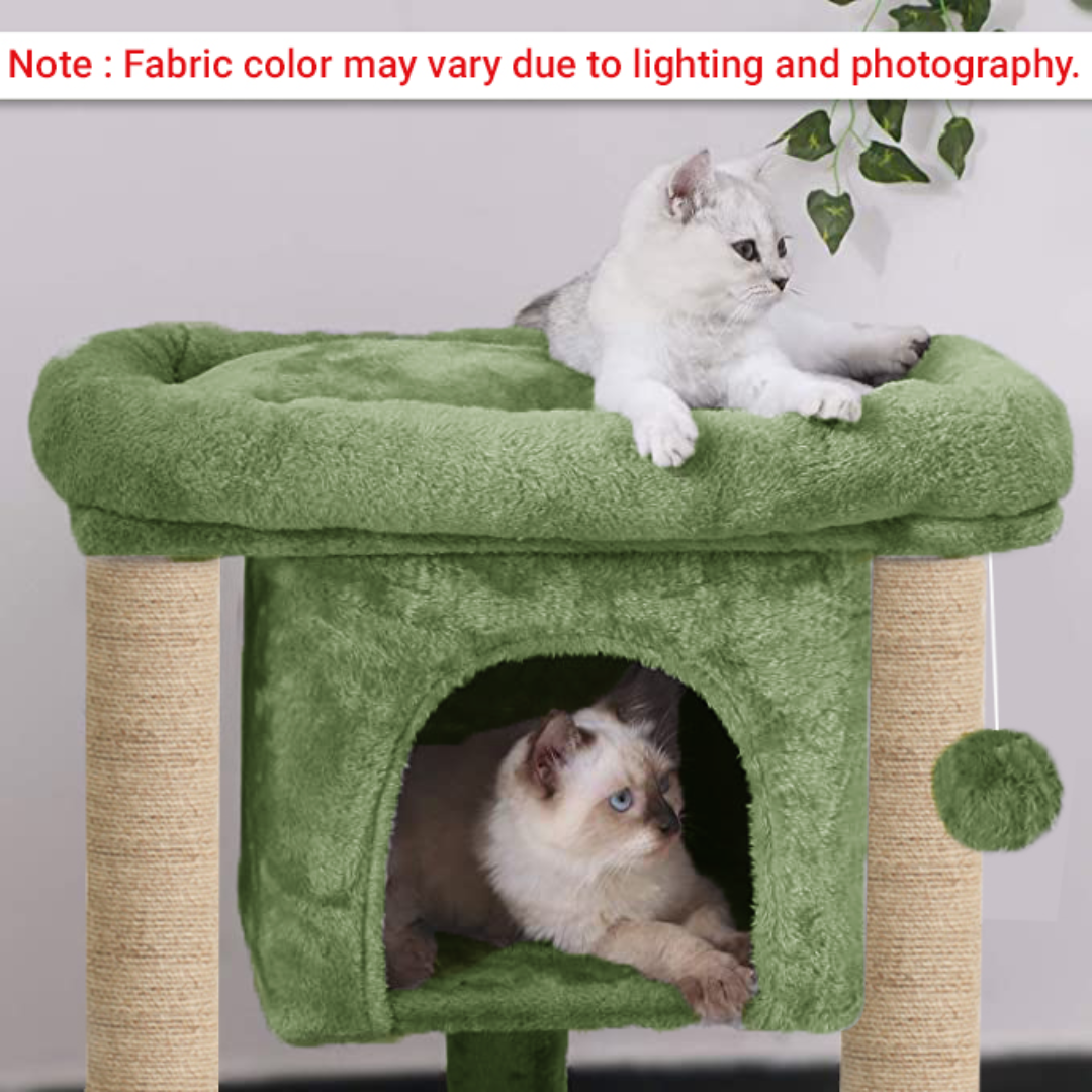 img_6a4f26356e20d8.23819187.png