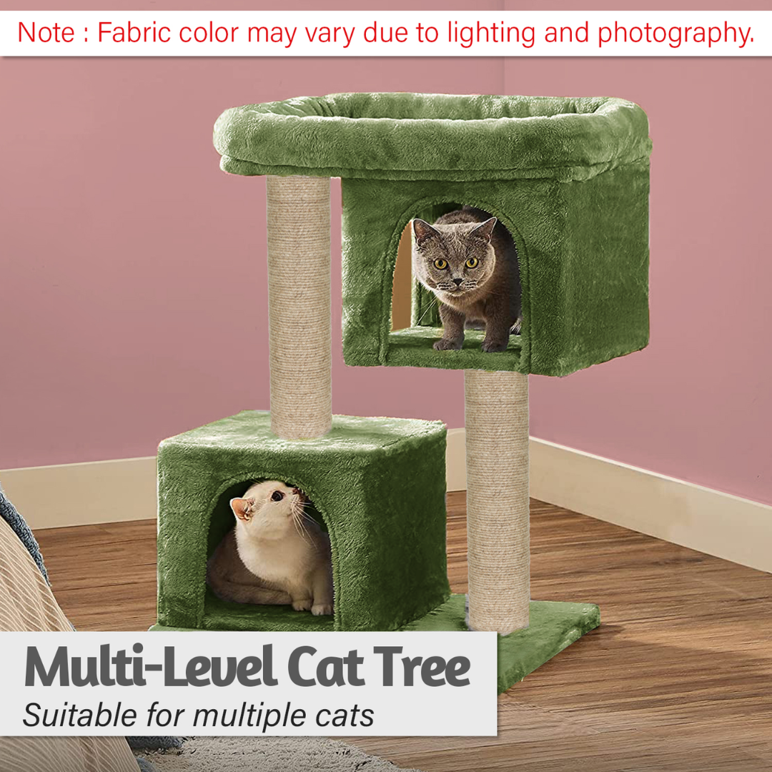 img_6a4f2a05bb7c55.72382200.png