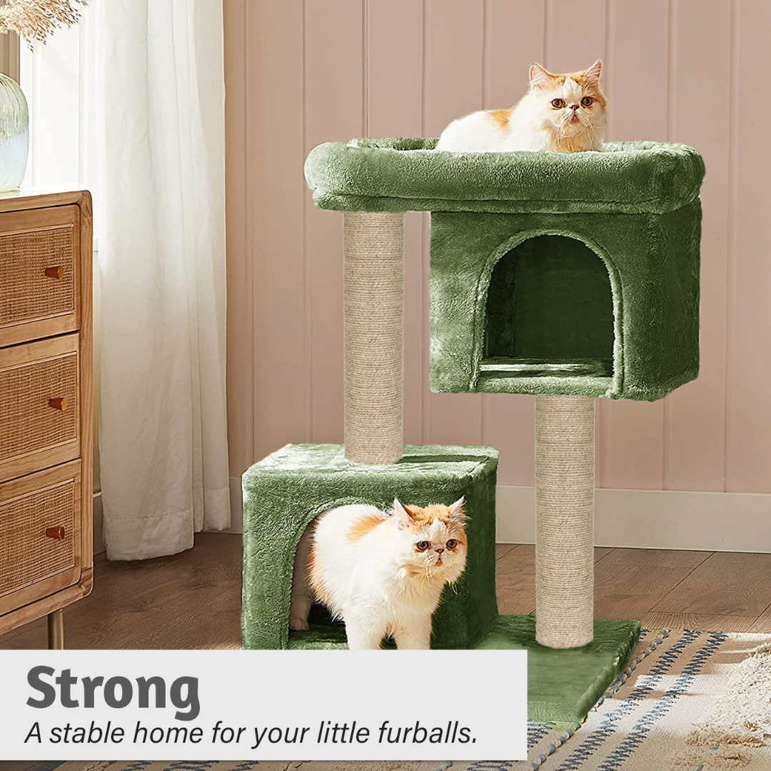 img_6a4f2a05bbfa35.78844318.png
