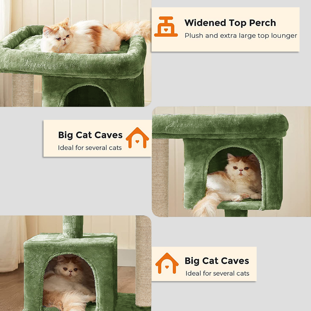 img_6a4f2a05bc89f7.92949145.png