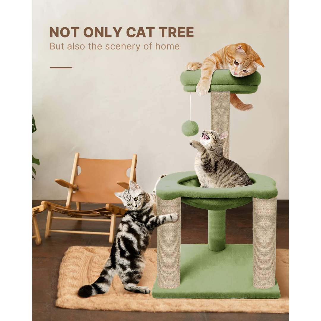 img_6a51f6d6e9f413.34528692.png