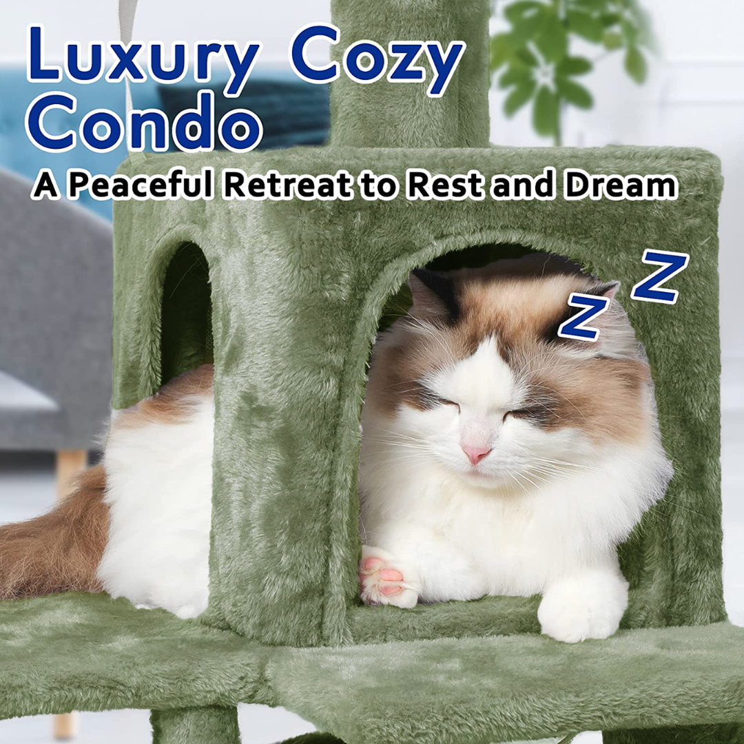 img_6a521a7f2da752.21632265.png
