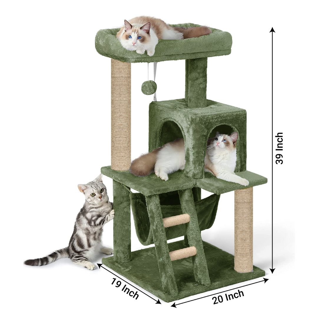 img_6a521a7f2f6f02.61005300.png