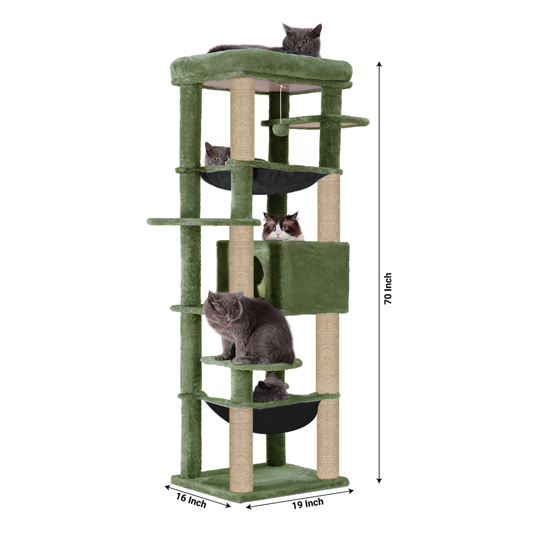 img_6a5b36afd80622.73439963.png