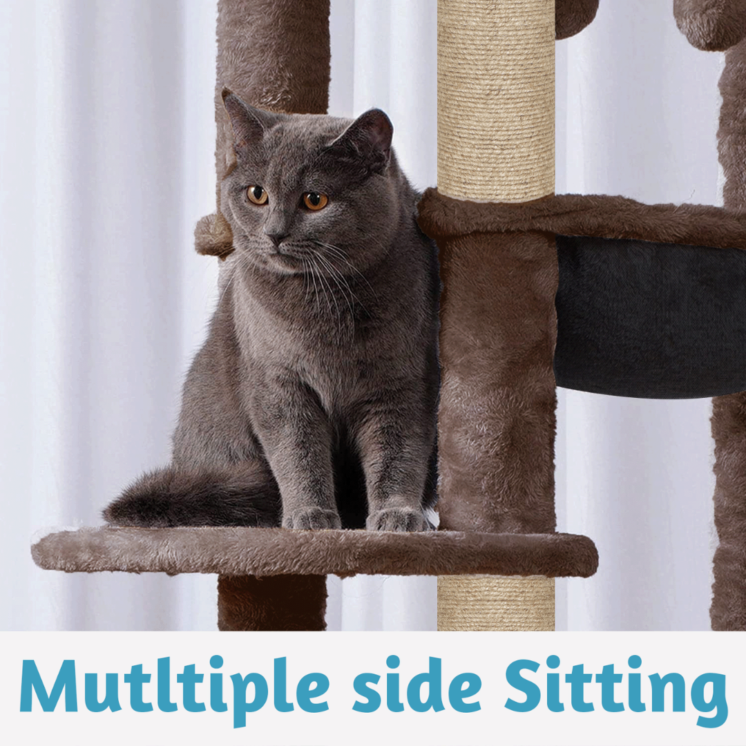 img_6a5b36d3c96851.12028224.png