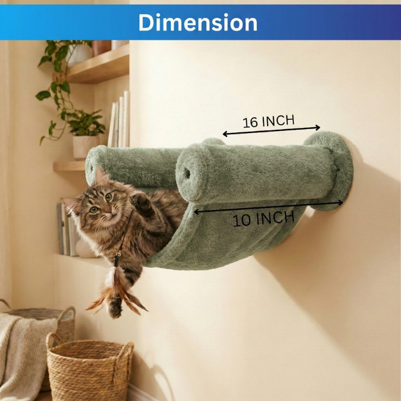 img_6a6856bf47a8a2.25105430.png