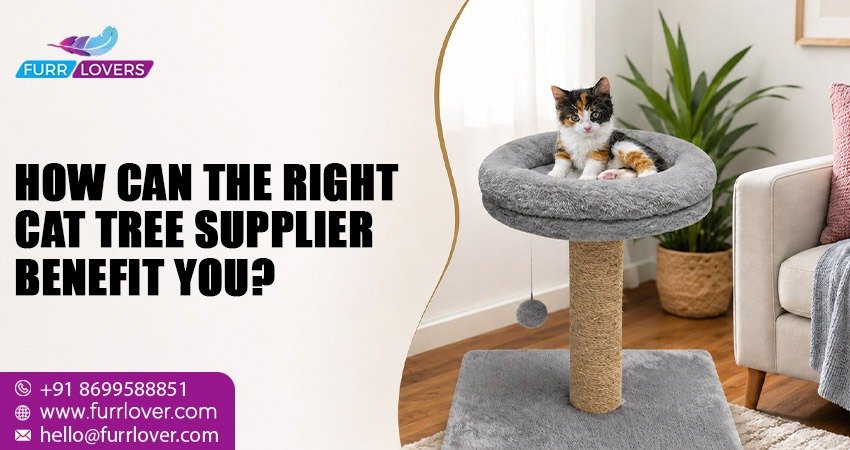 wholesale cat tree supplier India