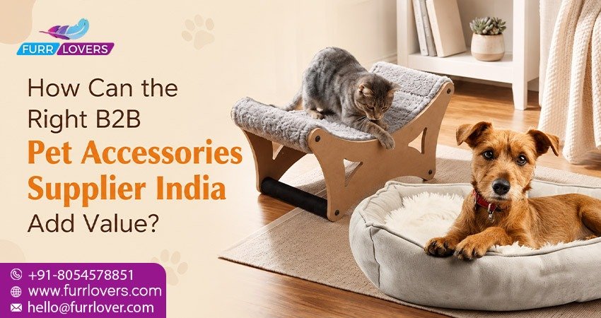 B2B pet accessories supplier India