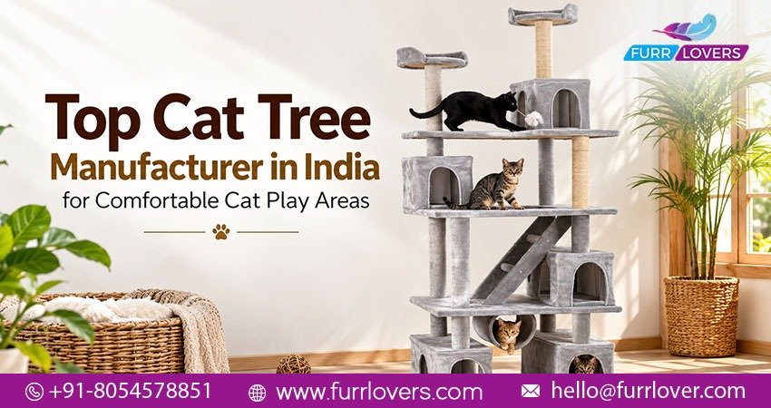 Top Cat Tree Manufacturer in India for Comfortable Cat Play Areas